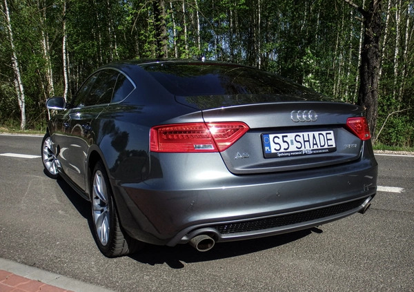 Audi A5 cena 81500 przebieg: 95173, rok produkcji 2016 z Bytom małe 667